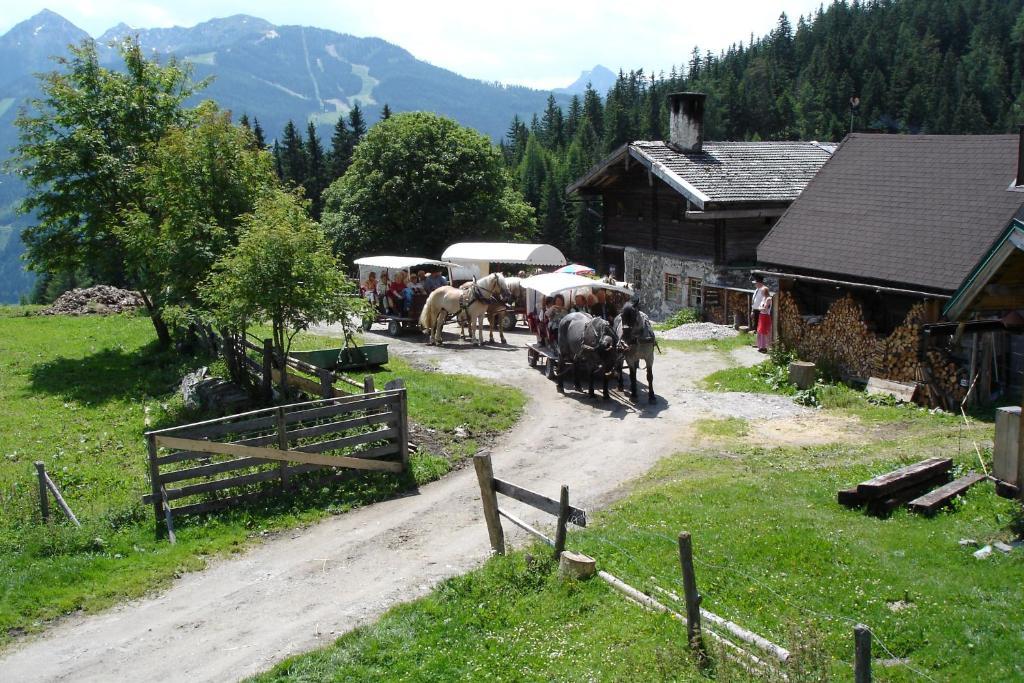 Pension Waldesruh/Halseralm Schladming Eksteriør bilde